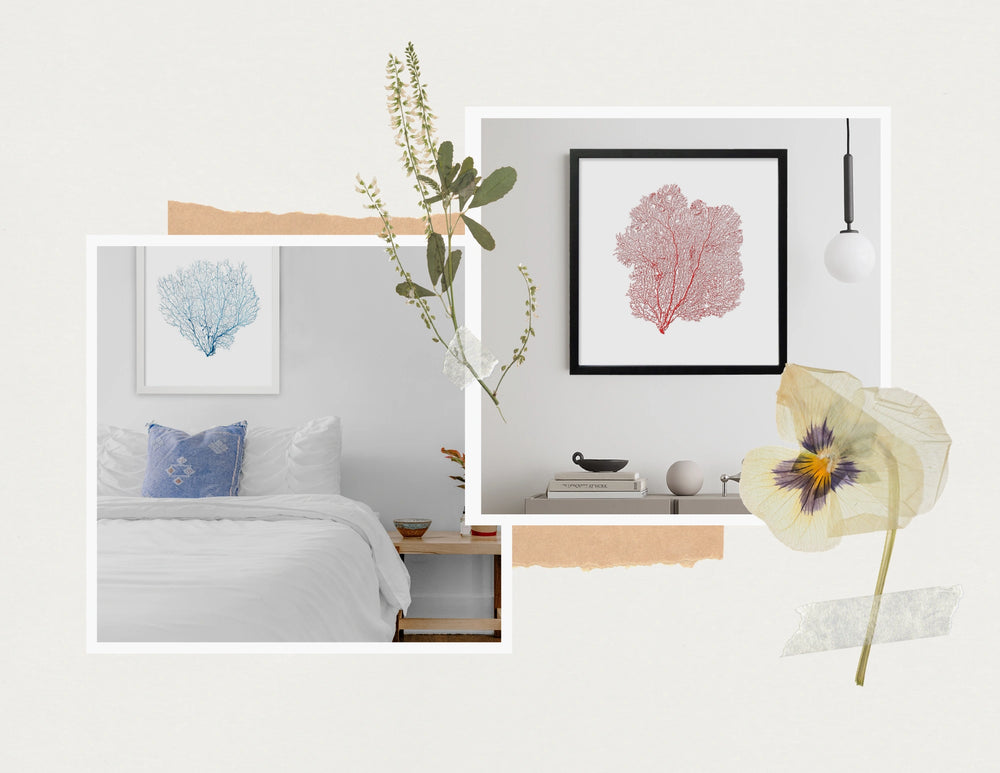 seafan artwork and wall art in blue red and black seafans